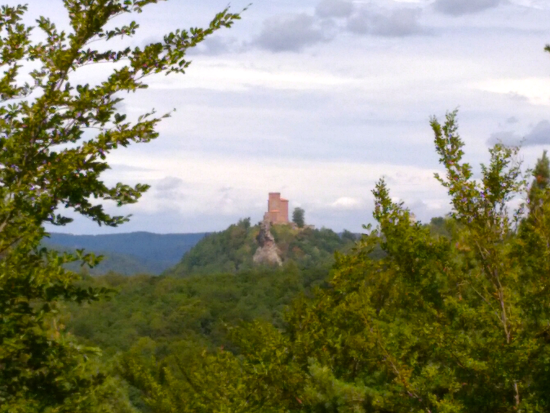 Auf dem Höhenweg zur Madenburg 2019